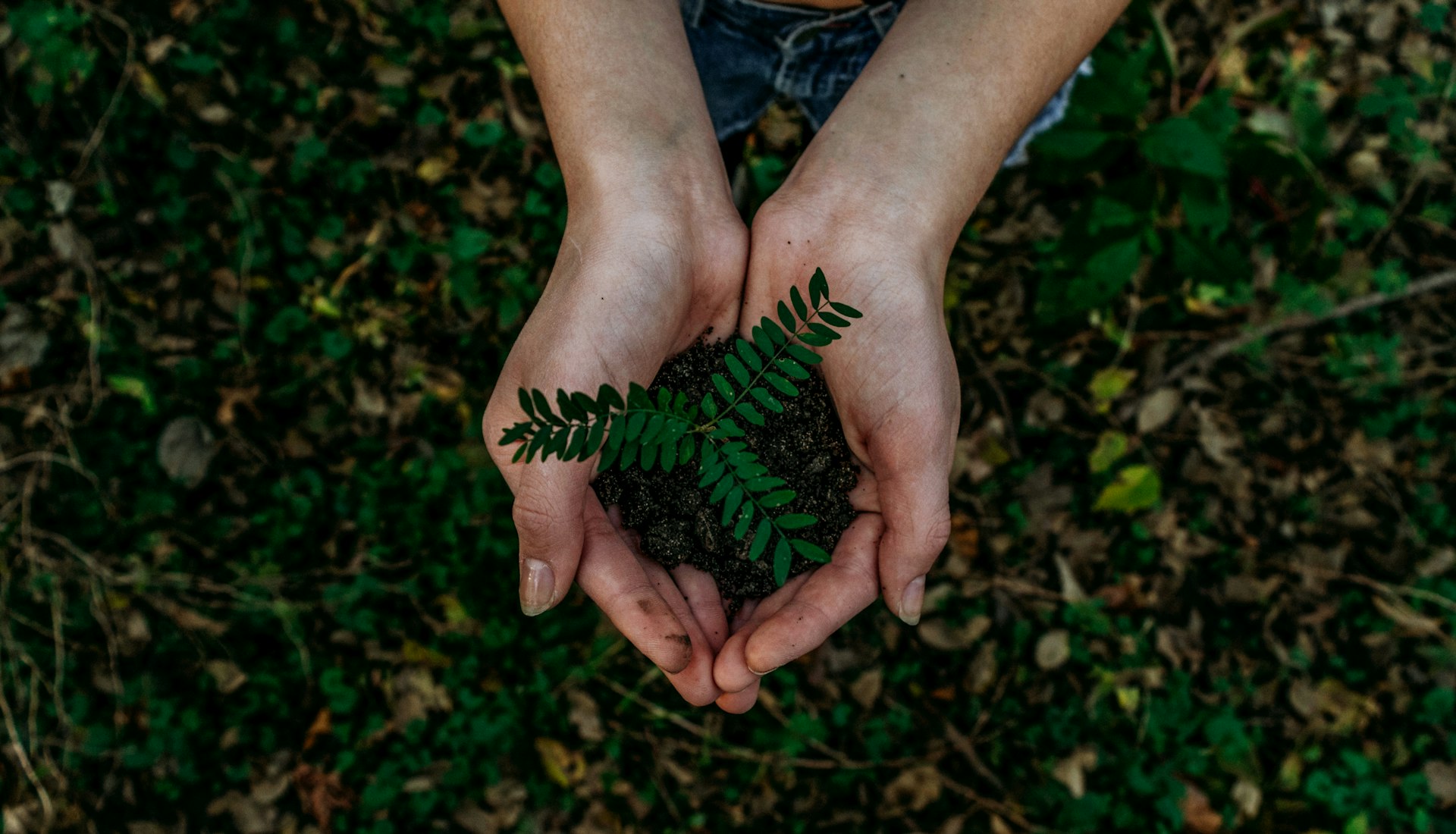 Geometria Ambiental em ação